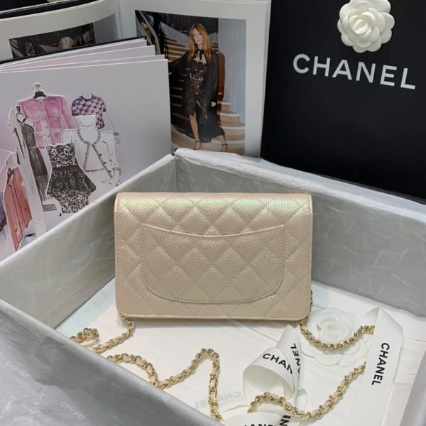 Ch*el wallet on chain